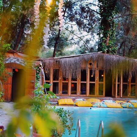 Kayserkaya Cottages Selcuk Exteriér fotografie