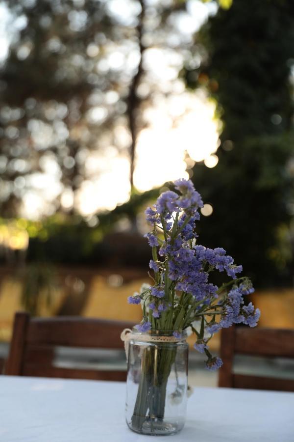 Kayserkaya Cottages Selcuk Exteriér fotografie