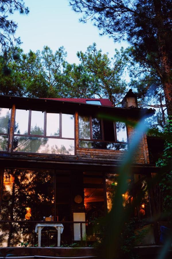 Kayserkaya Cottages Selcuk Exteriér fotografie